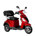 Bologna 25Km/h E-Tricycle